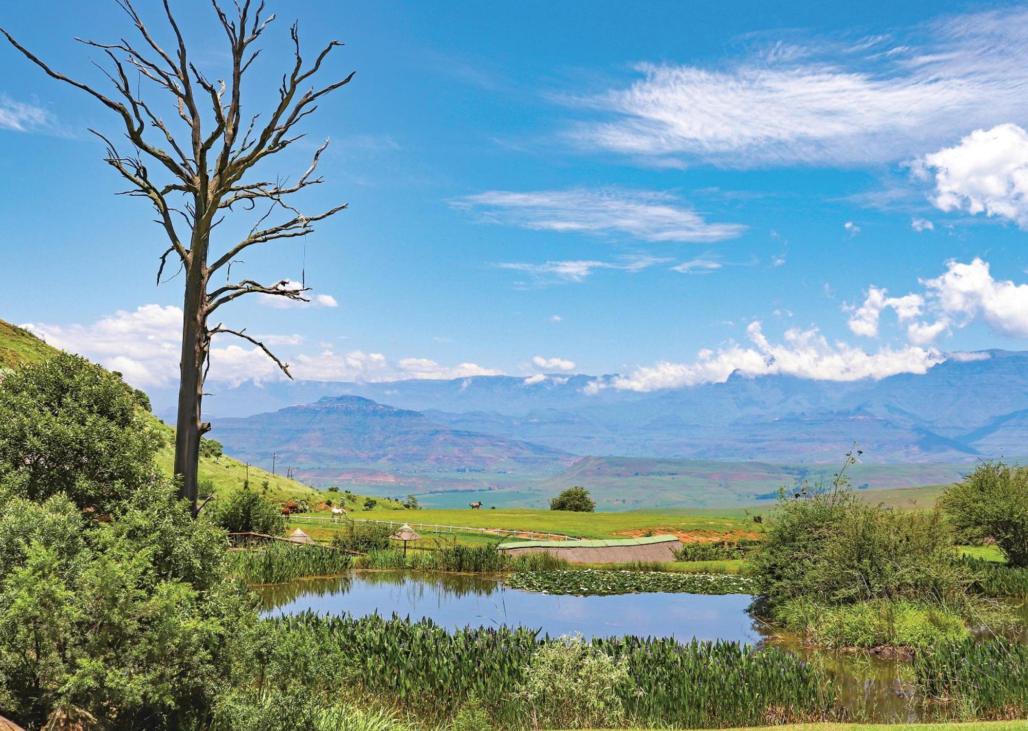 Little Switzerland Resort By Dream Resorts Ethels Drive Eksteriør billede