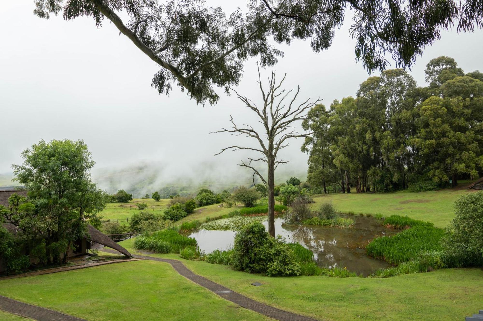 Little Switzerland Resort By Dream Resorts Ethels Drive Eksteriør billede